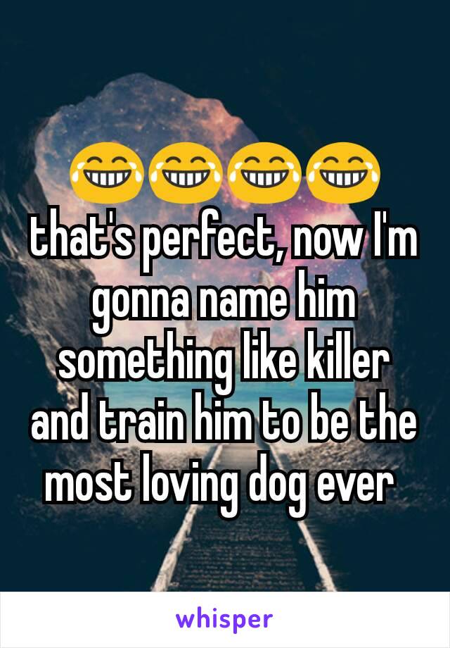 😂😂😂😂 that's perfect, now I'm gonna name him something like killer and train him to be the most loving dog ever 
