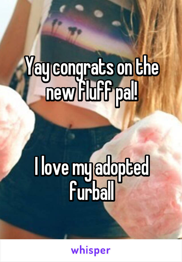 Yay congrats on the new fluff pal!


I love my adopted furball