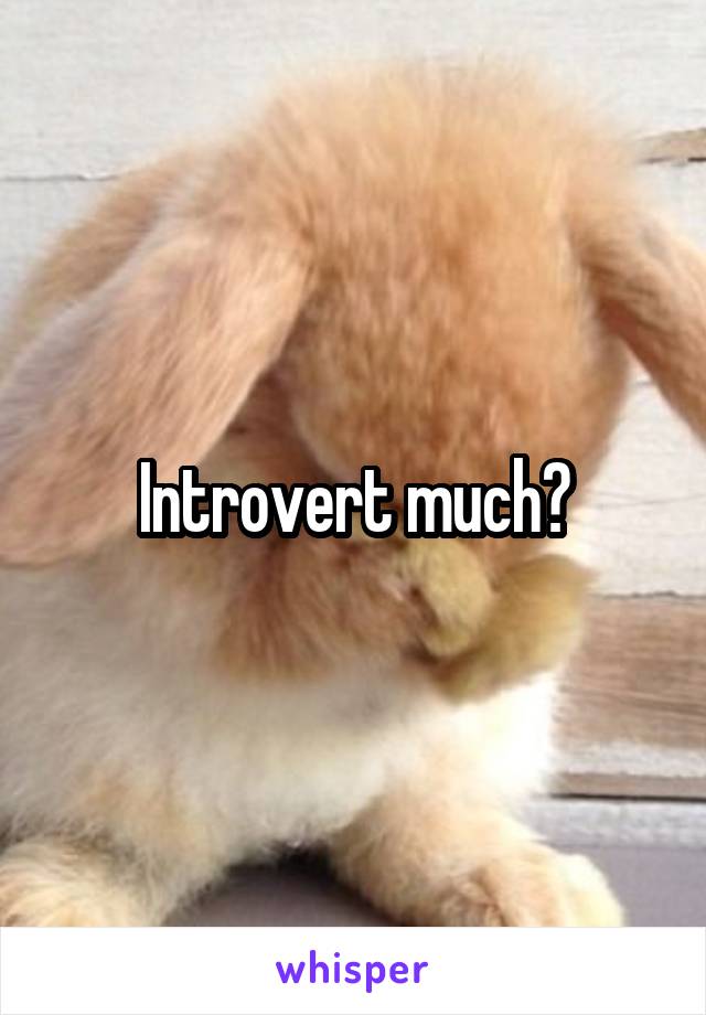 Introvert much?