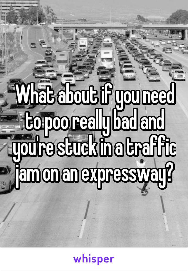 What about if you need to poo really bad and you're stuck in a traffic jam on an expressway?