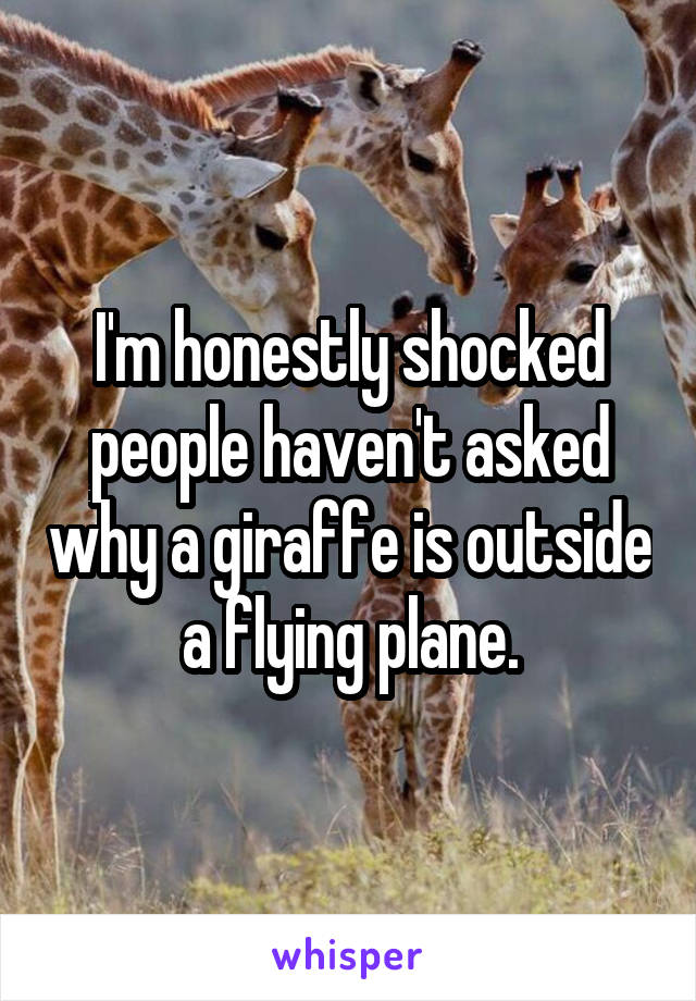 I'm honestly shocked people haven't asked why a giraffe is outside a flying plane.