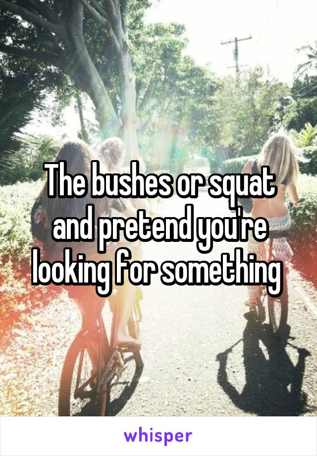 The bushes or squat and pretend you're looking for something 