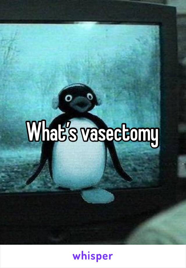 What’s vasectomy