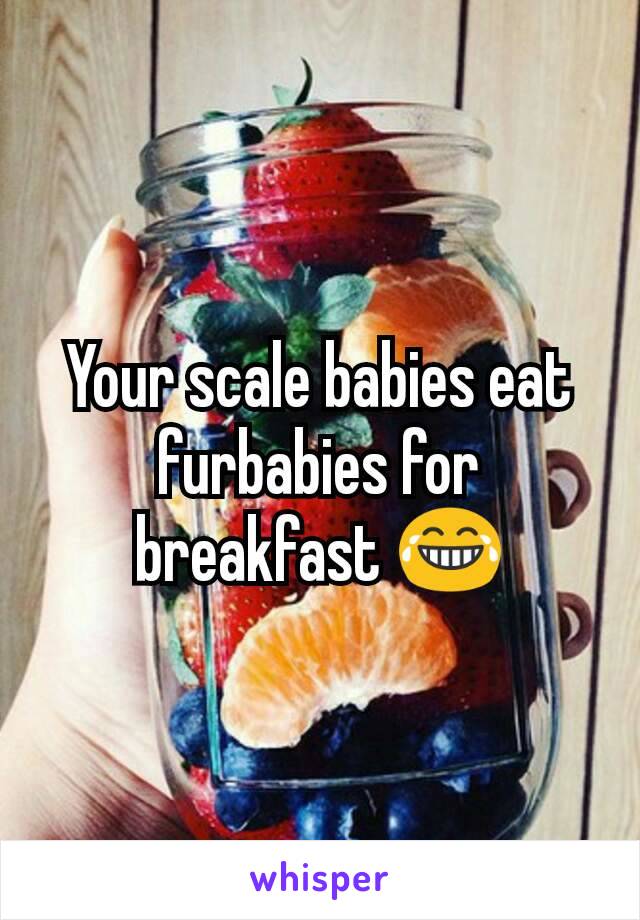 Your scale babies eat furbabies for breakfast 😂