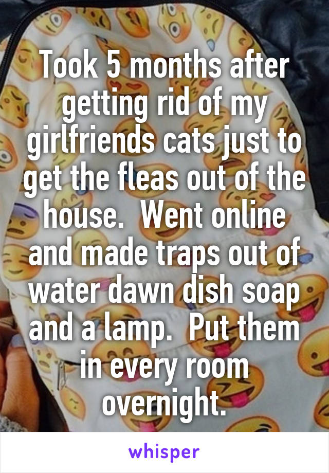 Took 5 months after getting rid of my girlfriends cats just to get the fleas out of the house.  Went online and made traps out of water dawn dish soap and a lamp.  Put them in every room overnight.