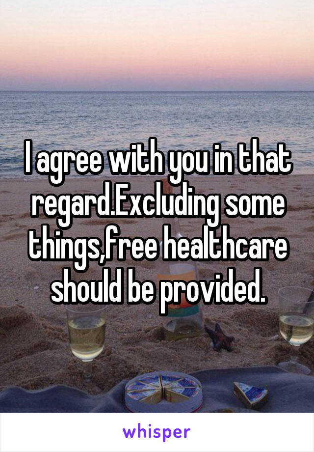 I agree with you in that regard.Excluding some things,free healthcare should be provided.