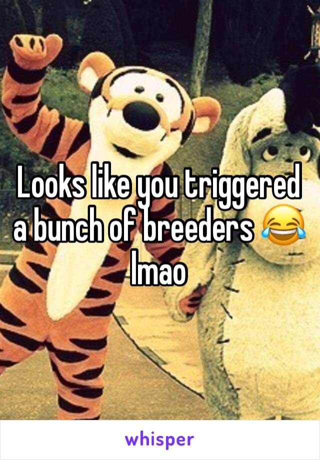 Looks like you triggered a bunch of breeders 😂 lmao