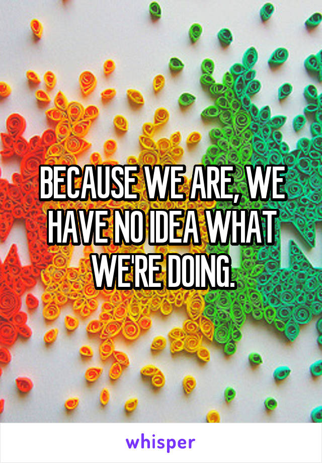 BECAUSE WE ARE, WE HAVE NO IDEA WHAT WE'RE DOING.