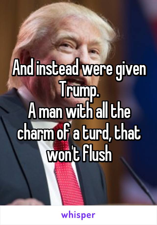 And instead were given Trump.
A man with all the charm of a turd, that won't flush