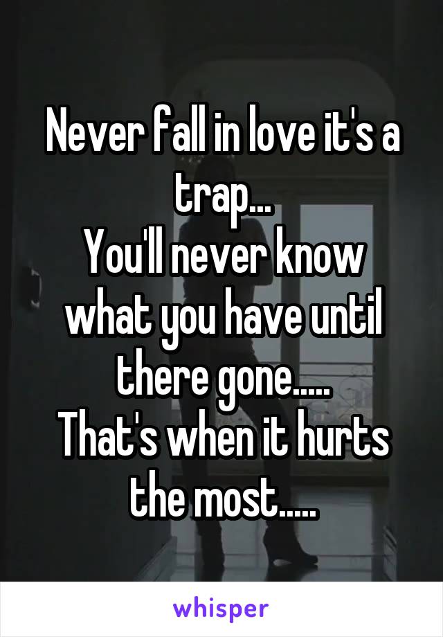Never fall in love it's a trap...
You'll never know what you have until there gone.....
That's when it hurts the most.....