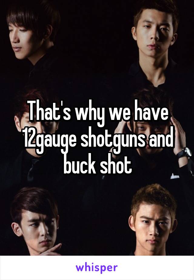 That's why we have 12gauge shotguns and buck shot