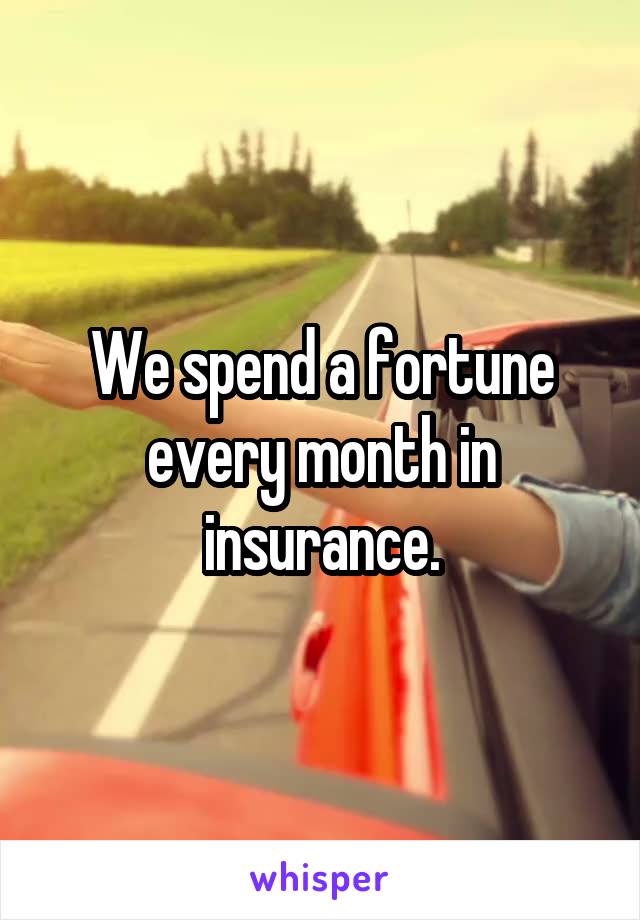 We spend a fortune every month in insurance.