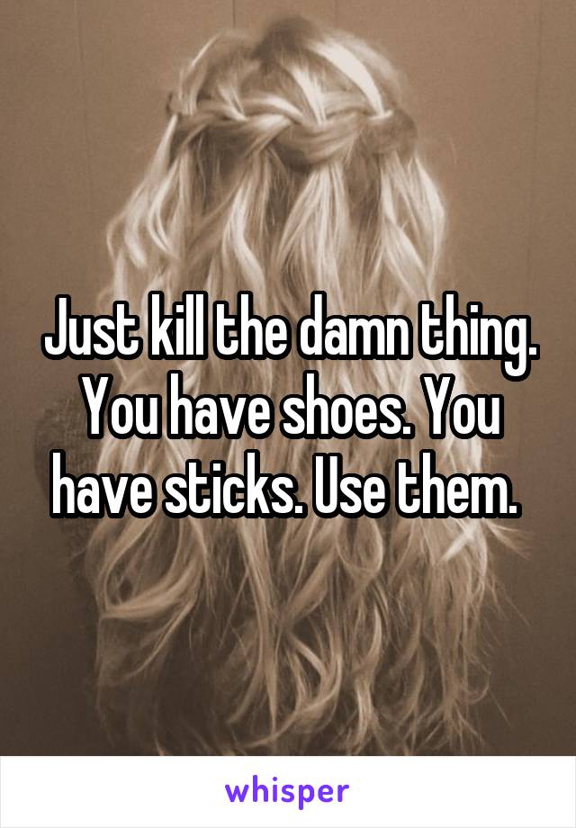 Just kill the damn thing. You have shoes. You have sticks. Use them. 