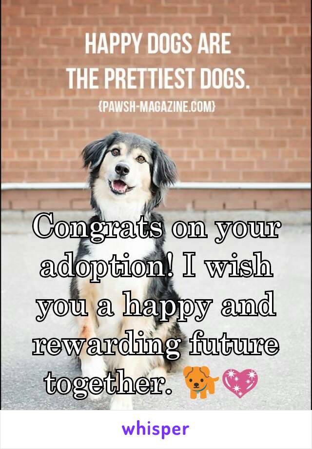 Congrats on your adoption! I wish you a happy and rewarding future together. 🐕💖 