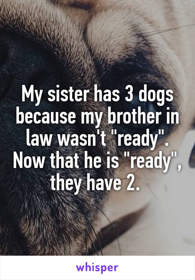 My sister has 3 dogs because my brother in law wasn't "ready". Now that he is "ready", they have 2. 