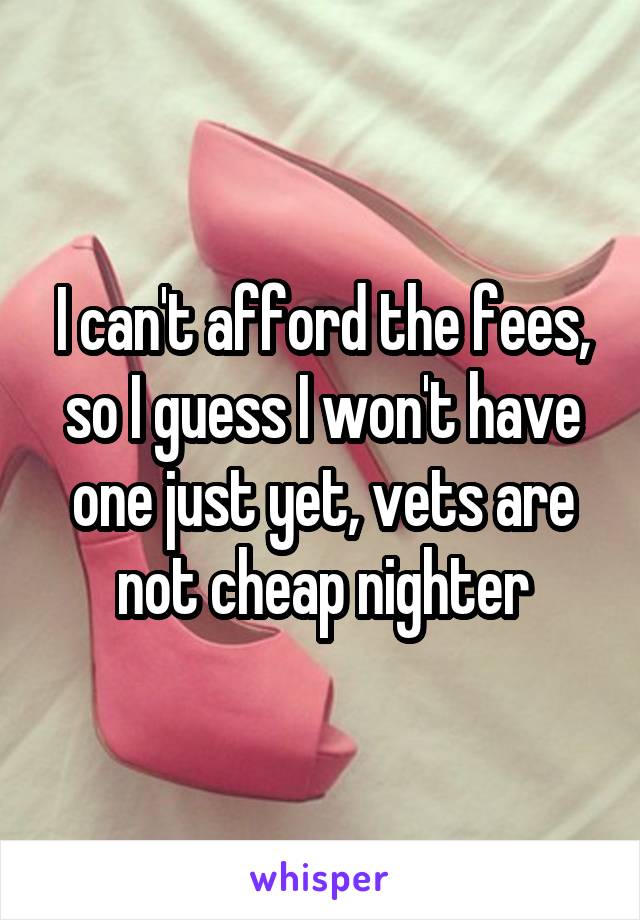 I can't afford the fees, so I guess I won't have one just yet, vets are not cheap nighter
