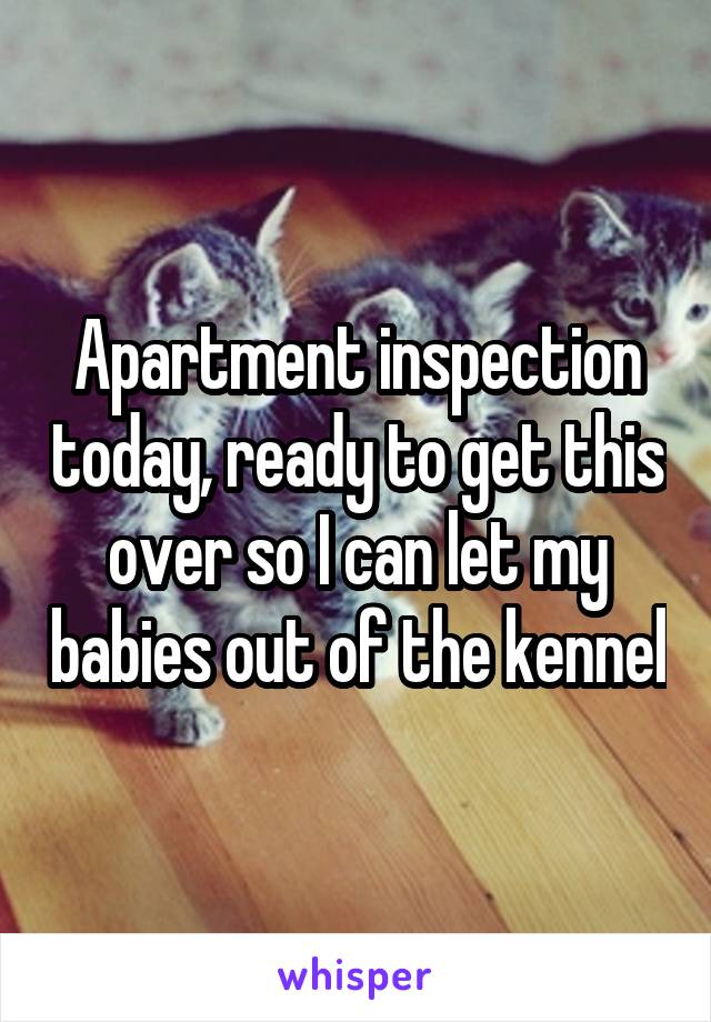 Apartment inspection today, ready to get this over so I can let my babies out of the kennel