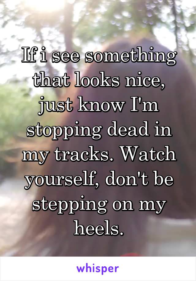 If i see something that looks nice, just know I'm stopping dead in my tracks. Watch yourself, don't be stepping on my heels.