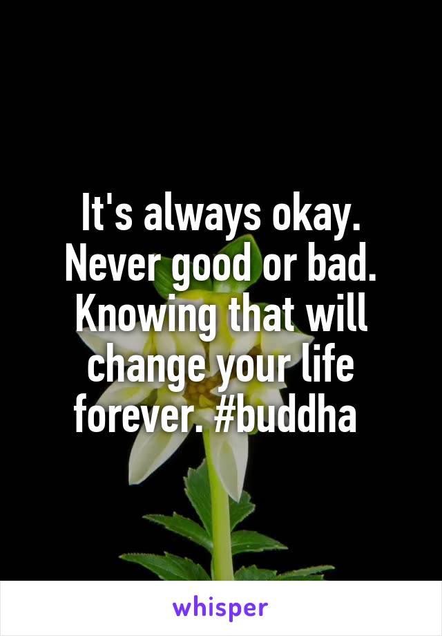 It's always okay. Never good or bad. Knowing that will change your life forever. #buddha 