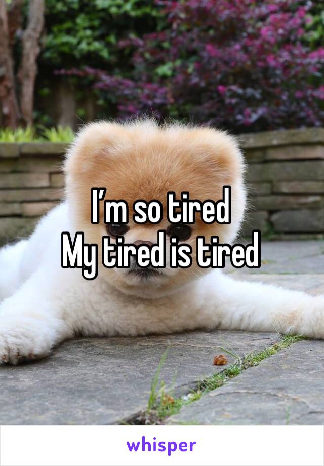 I’m so tired
My tired is tired