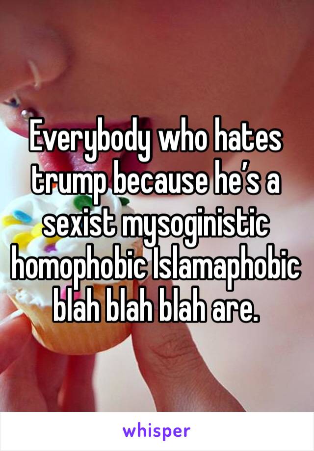 Everybody who hates trump because he’s a sexist mysoginistic homophobic Islamaphobic blah blah blah are. 