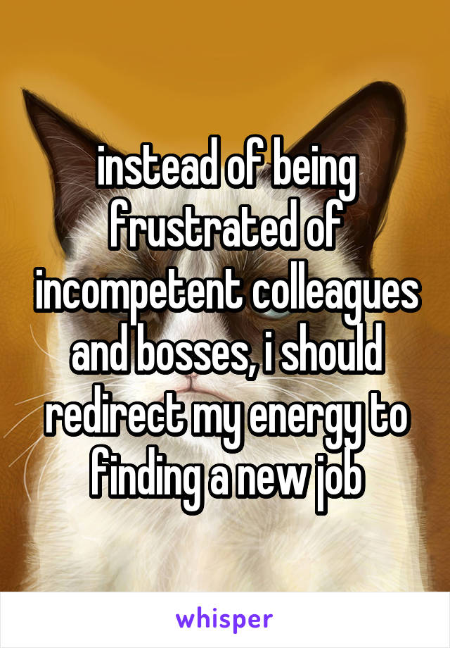 instead of being frustrated of incompetent colleagues and bosses, i should redirect my energy to finding a new job