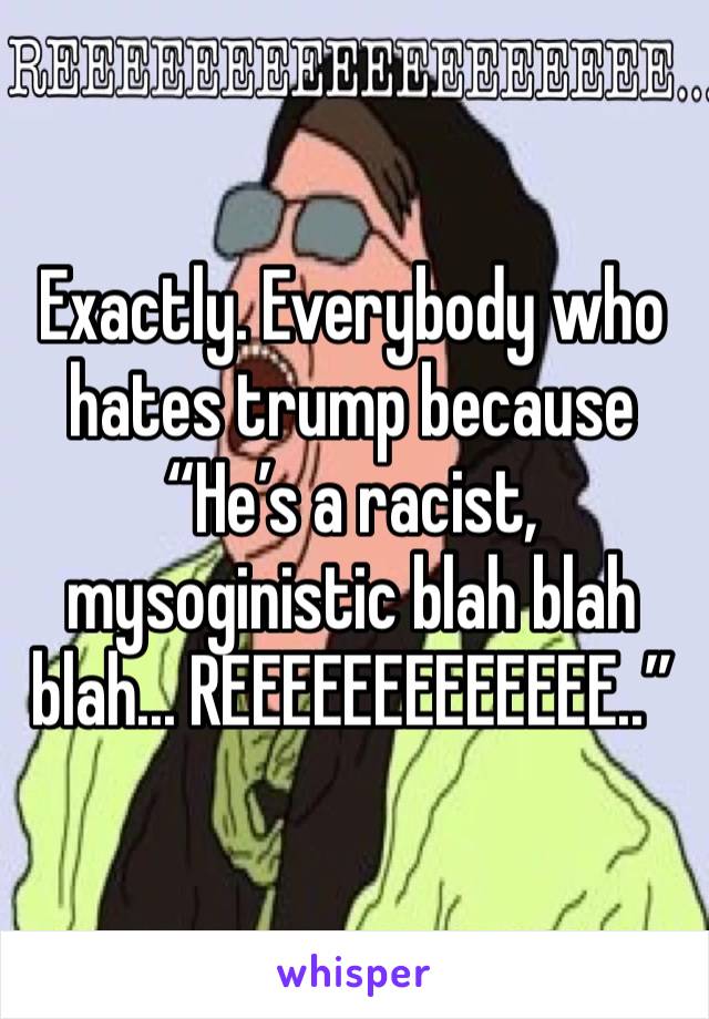 Exactly. Everybody who hates trump because “He’s a racist, mysoginistic blah blah blah... REEEEEEEEEEEEE..”