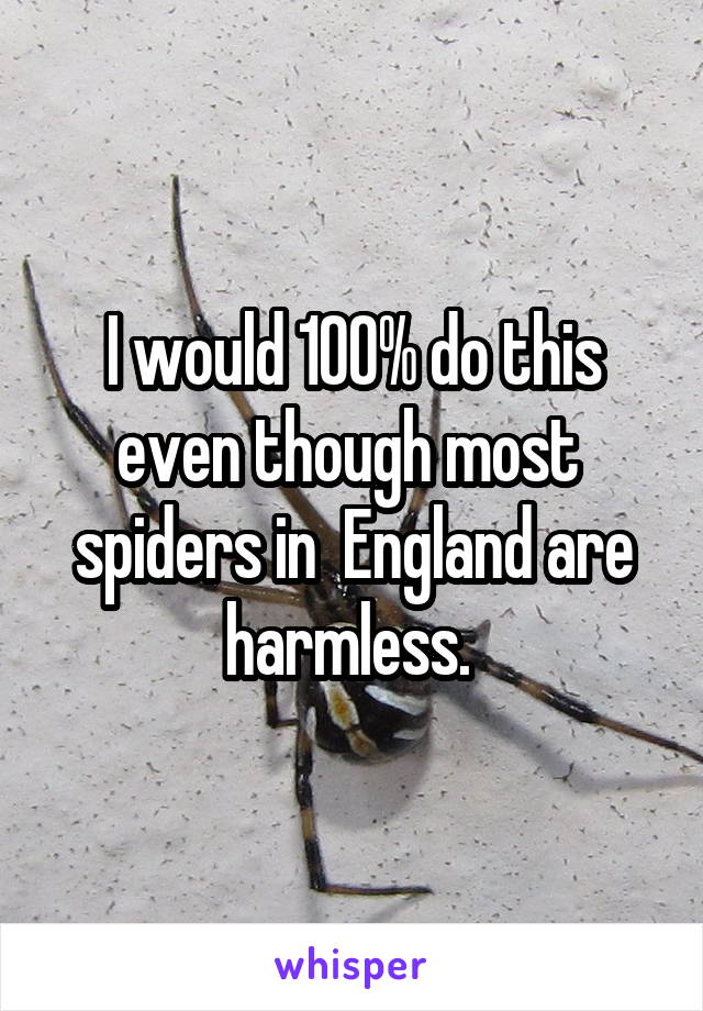 I would 100% do this even though most  spiders in  England are harmless. 