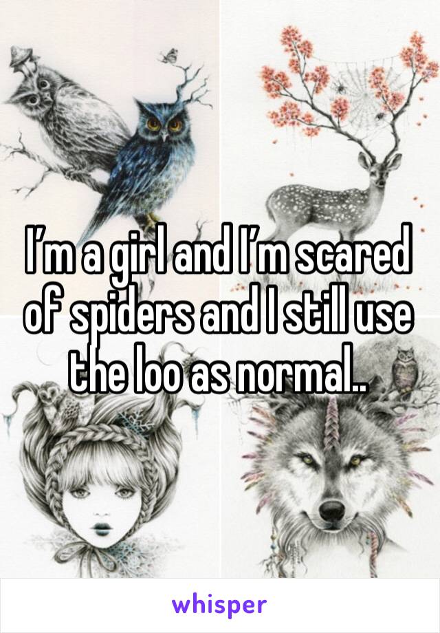I’m a girl and I’m scared of spiders and I still use the loo as normal..