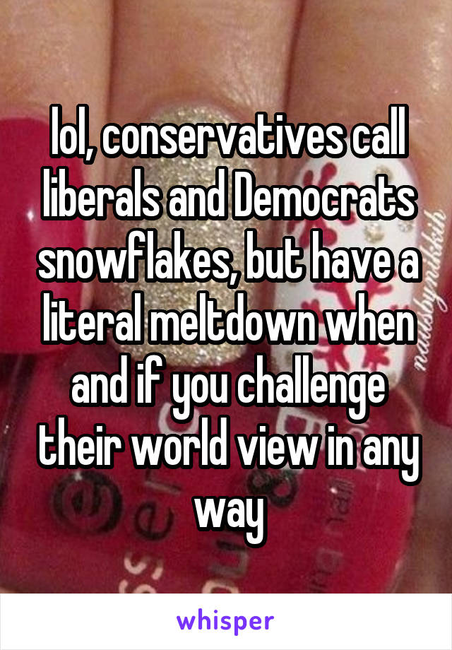lol, conservatives call liberals and Democrats snowflakes, but have a literal meltdown when and if you challenge their world view in any way
