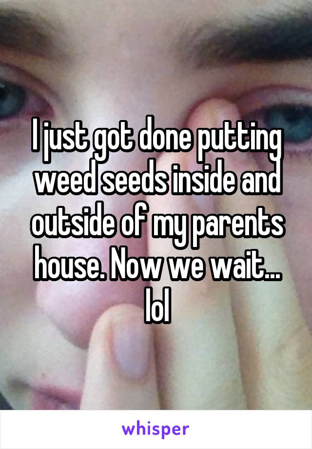 I just got done putting weed seeds inside and outside of my parents house. Now we wait... lol