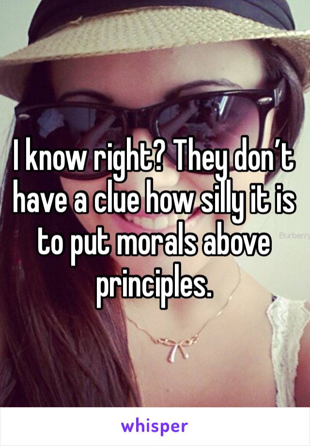 I know right? They don’t have a clue how silly it is to put morals above principles. 
