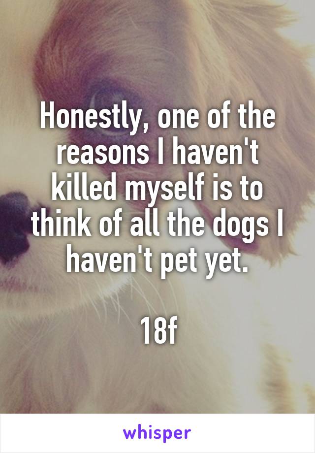 Honestly, one of the reasons I haven't killed myself is to think of all the dogs I haven't pet yet.

18f