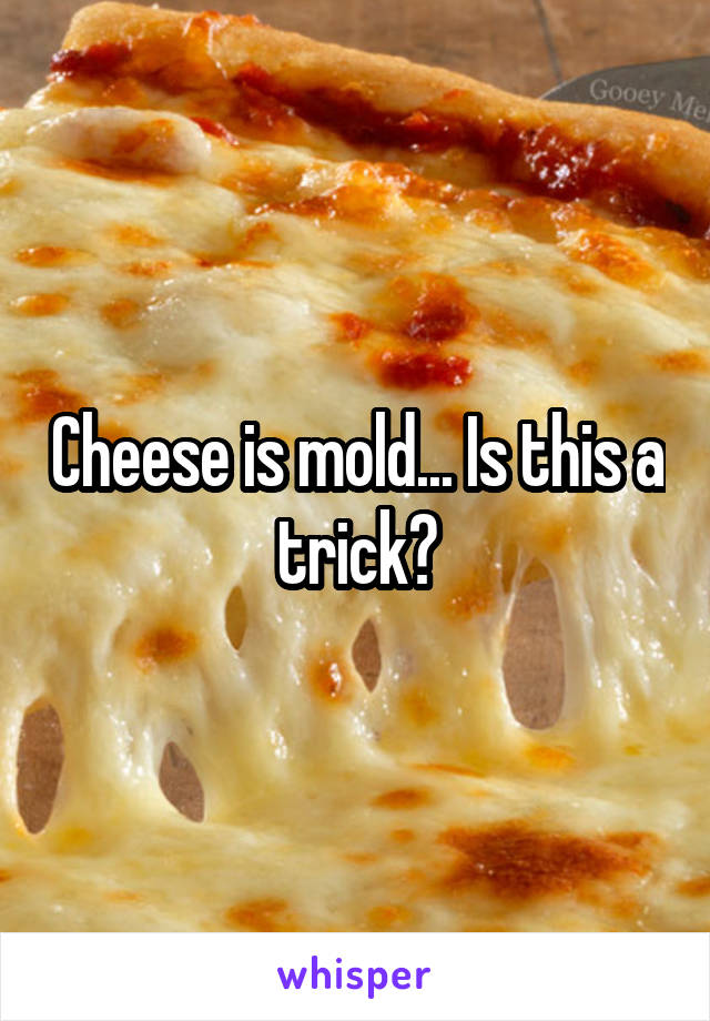 Cheese is mold... Is this a trick?