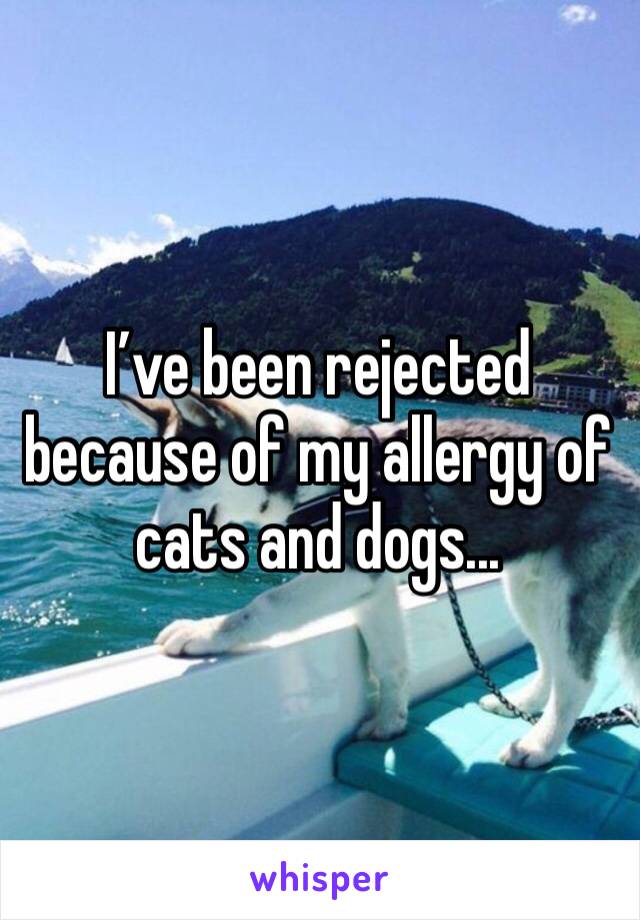 I’ve been rejected because of my allergy of cats and dogs... 