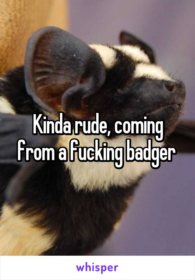 Kinda rude, coming from a fucking badger 