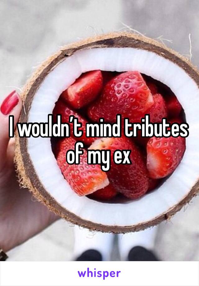 I wouldn’t mind tributes of my ex