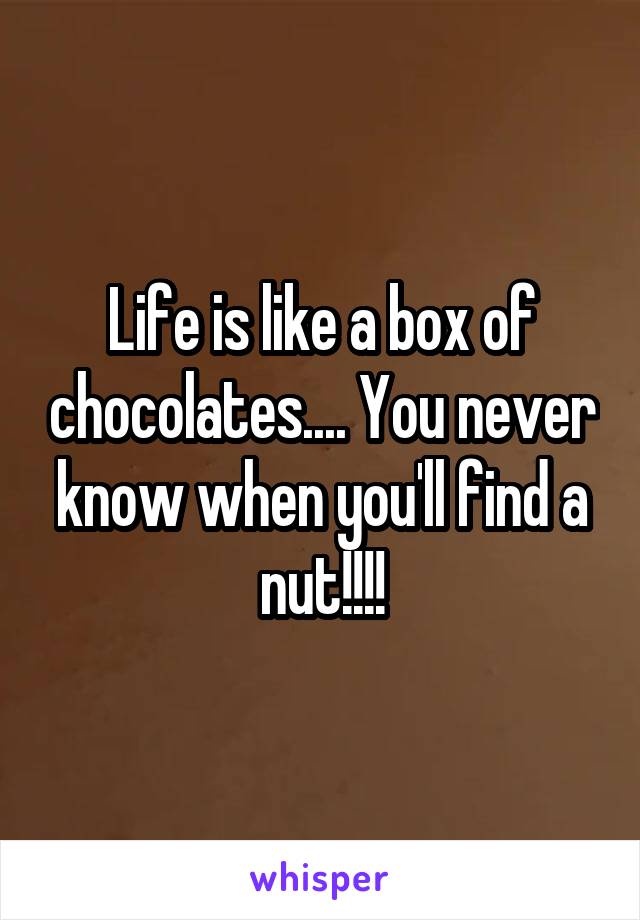 Life is like a box of chocolates.... You never know when you'll find a nut!!!!