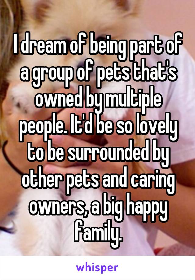 I dream of being part of a group of pets that's owned by multiple people. It'd be so lovely to be surrounded by other pets and caring owners, a big happy family.