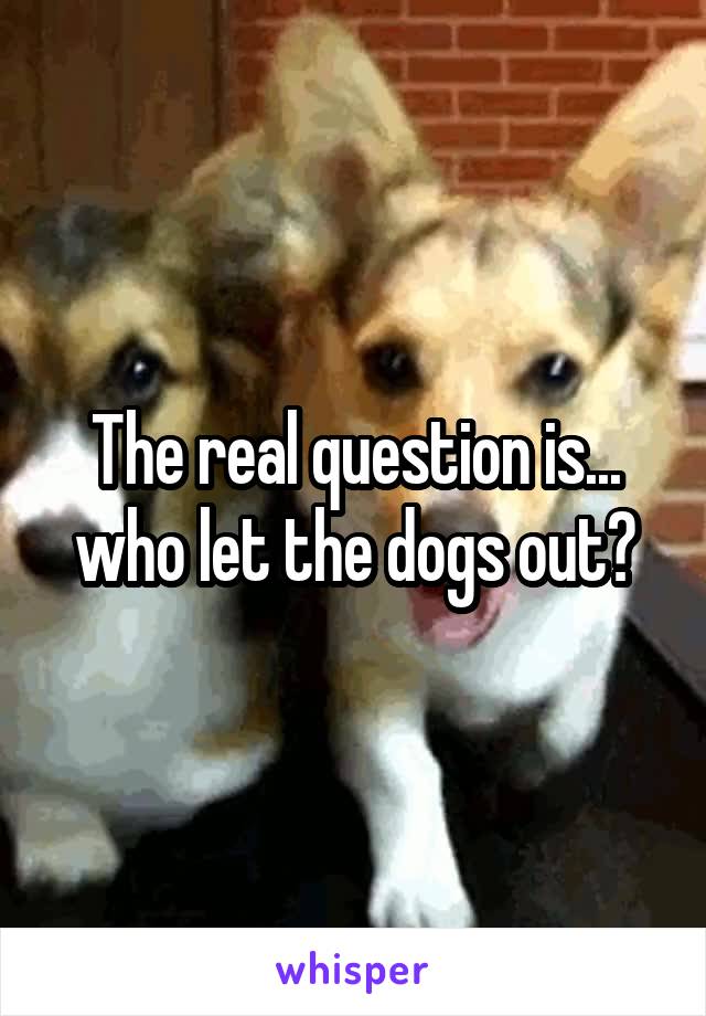 The real question is... who let the dogs out?