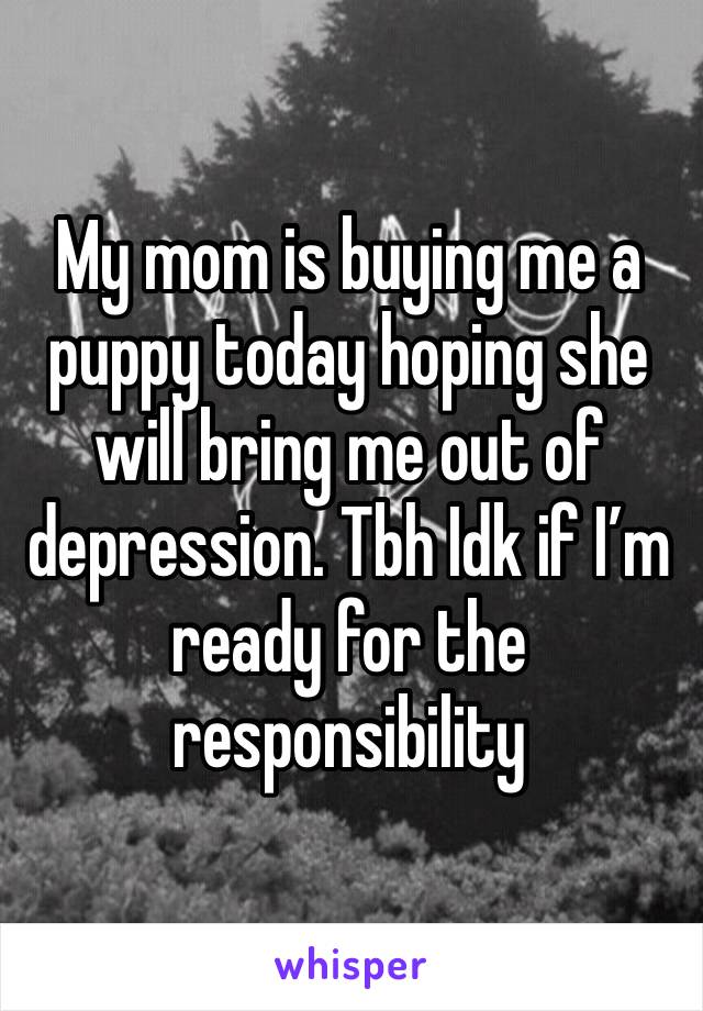 My mom is buying me a puppy today hoping she will bring me out of depression. Tbh Idk if I’m ready for the responsibility 