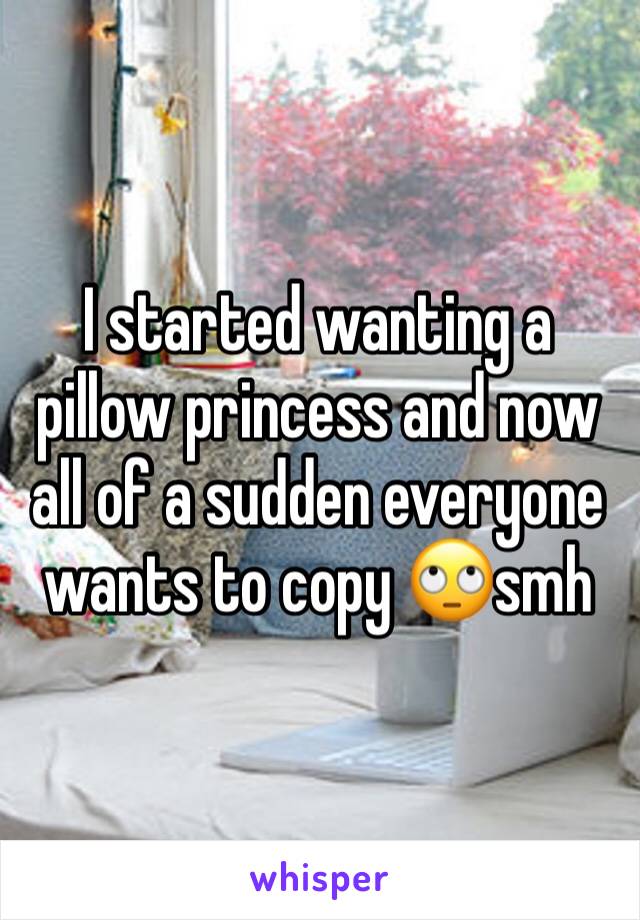 I started wanting a pillow princess and now all of a sudden everyone wants to copy 🙄smh