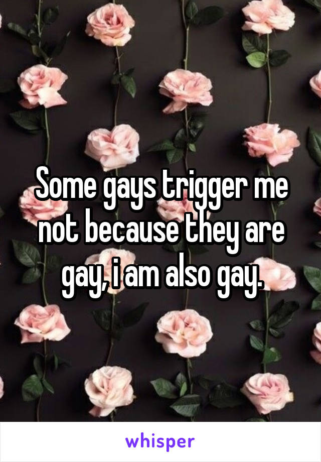 Some gays trigger me not because they are gay, i am also gay.