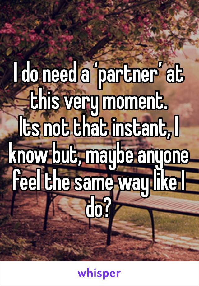 I do need a ‘partner’ at this very moment.
Its not that instant, I know but, maybe anyone feel the same way like I do?