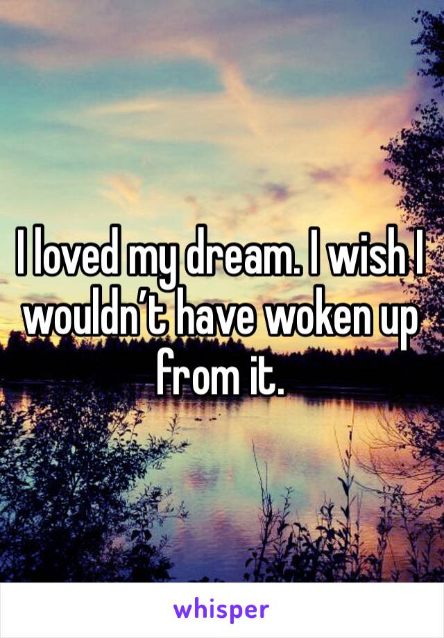 I loved my dream. I wish I wouldn’t have woken up from it. 