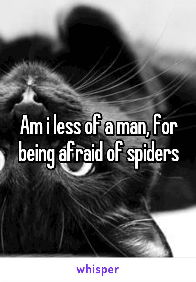 Am i less of a man, for being afraid of spiders