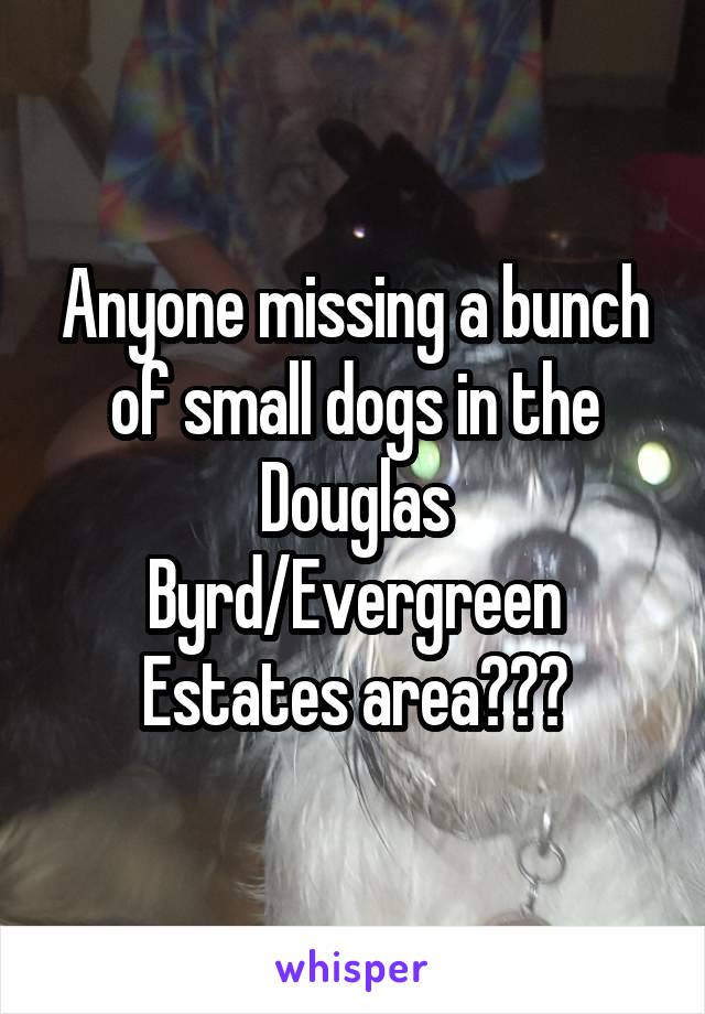 Anyone missing a bunch of small dogs in the Douglas Byrd/Evergreen Estates area???