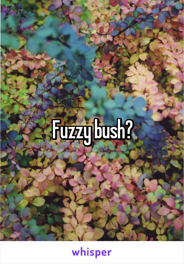 Fuzzy bush?