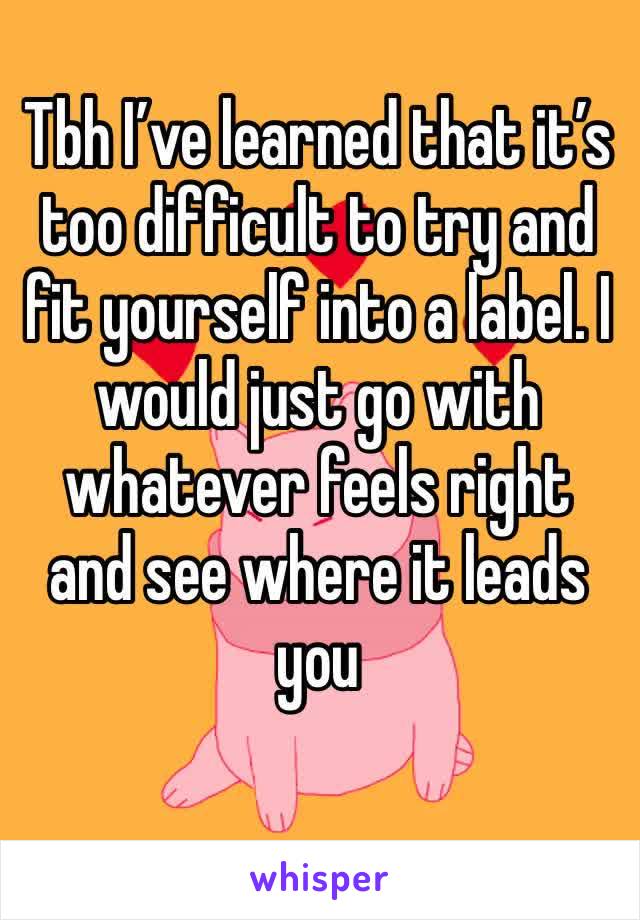 Tbh I’ve learned that it’s too difficult to try and fit yourself into a label. I would just go with whatever feels right and see where it leads you 