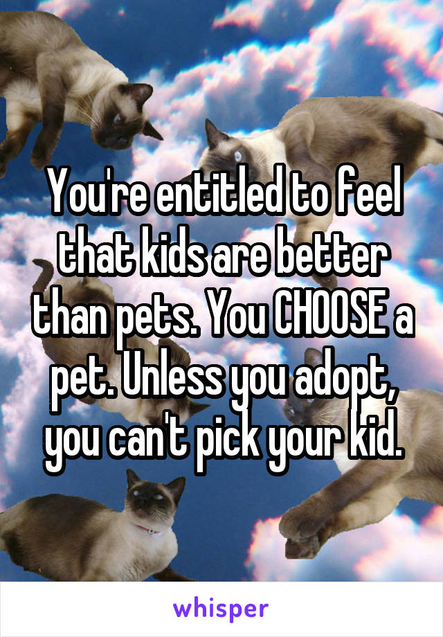 You're entitled to feel that kids are better than pets. You CHOOSE a pet. Unless you adopt, you can't pick your kid.